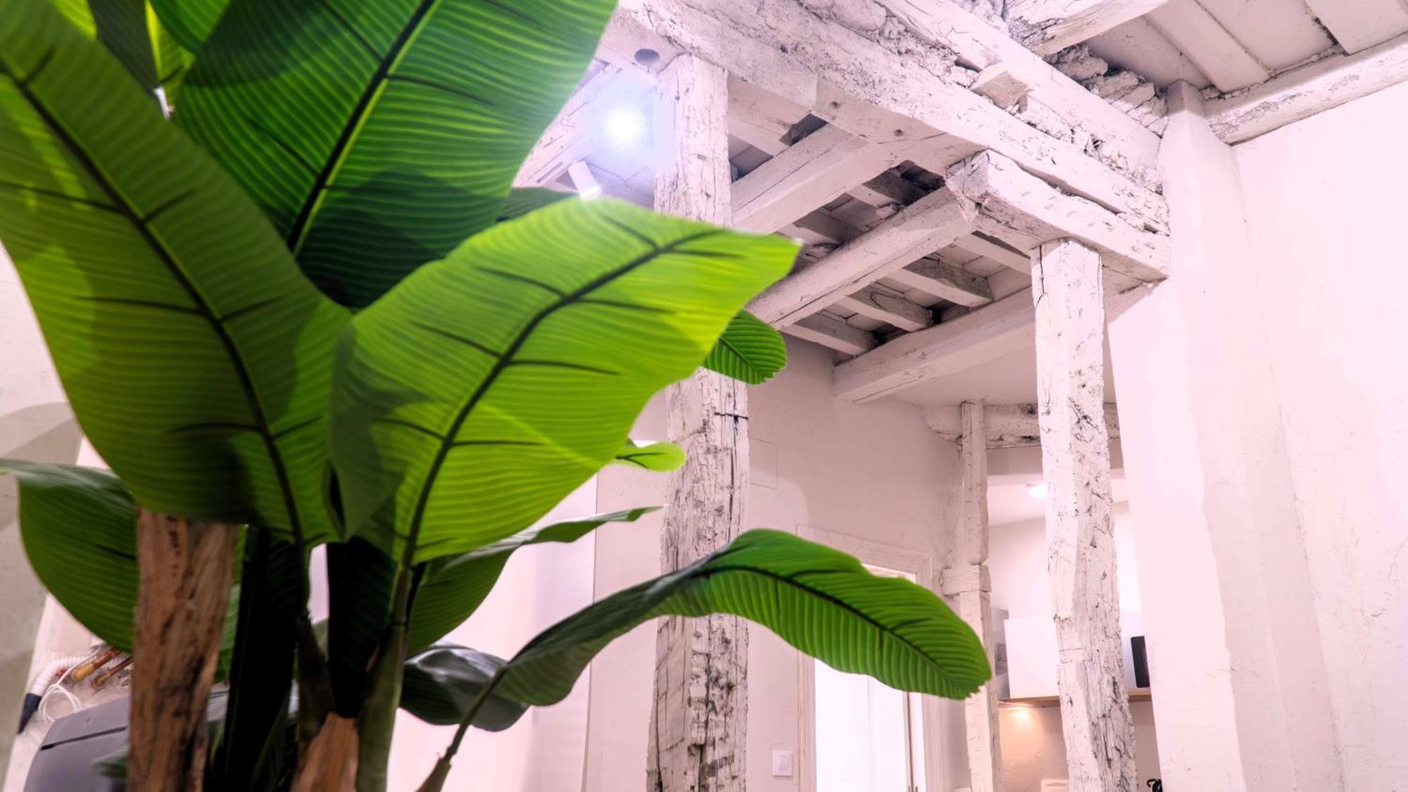 Apartamentos Carolina By Gaiarooms Leon Luaran gambar